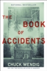 Image for The book of accidents: a novel
