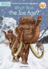 Image for What was the Ice Age?