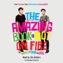 Image for Amazing Book Is Not on Fire: The World of Dan and Phil
