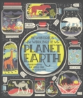 Image for Wondrous Workings of Planet Earth: Understanding Our World and Its Ecosystems