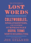 Image for Little Book of Lost Words: Collywobbles, Snollygosters, and 86 Other Surprisingly Useful Terms Worth Resurrecting