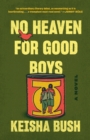 Image for No heaven for good boys: a novel
