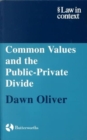 Image for The public/private divide