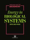 Image for Energy in Biological Systems