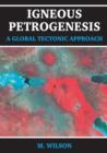 Image for Igneous Petrogenesis A Global Tectonic Approach