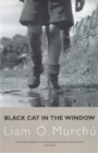Image for Black Cat in the Window
