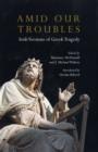 Image for Amid our troubles  : Irish versions of Greek tragedy