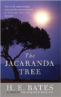 Image for The jacaranda tree