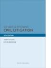 Image for Civil litigation