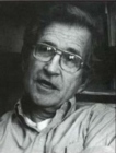Image for Noam Chomsky : Critical Assessments