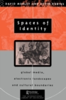 Image for Spaces of identity  : global media, electronic landscapes and cultural boundaries