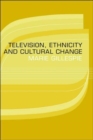 Image for Television, Ethnicity and Cultural Change
