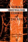 Image for The Newly Industrializing Economies of East Asia