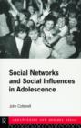 Image for Social Networks and Social Influences in Adolescence