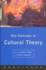 Image for Key concepts in cultural theory