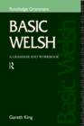 Image for Basic Welsh  : a grammar and workbook