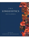 Image for The linguistics encyclopedia