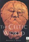 Image for The Celtic World