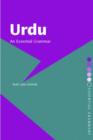 Image for Urdu  : an essential grammar