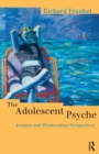 Image for The Adolescent Psyche