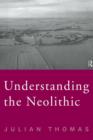 Image for Understanding the neolithic
