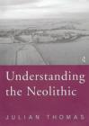 Image for Understanding the neolithic