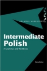 Image for Intermediate Polish  : a grammar and workbook