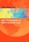 Image for Key documents in international law