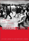 Image for Working capital  : life and labour in contemporary London