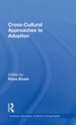 Image for Cross-Cultural Approaches to Adoption