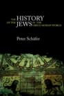 Image for The History of the Jews in the Greco-Roman World