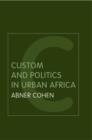 Image for Custom and Politics in Urban Africa
