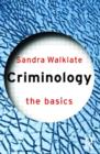Image for Criminology  : the basics