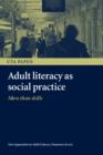 Image for Adult literacy as social practice  : more than skills