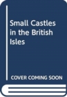 Image for Small Castles in the British Isles