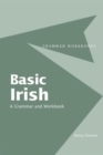Image for Basic Irish  : a grammar and workbook