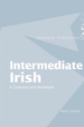 Image for Intermediate Irish  : a grammar and workbook