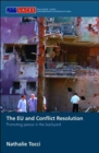 Image for The EU&#39;s role in conflict resolution  : promoting peace in the European neighbourhood