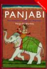 Image for Colloquial Panjabi : The Complete Course for Beginners