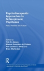 Image for Psychotherapeutic approaches to schizophrenic psychoses  : past, present, and future