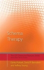 Image for Schema Therapy