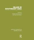 Image for Islam in Southeast Asia V3