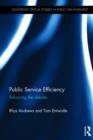 Image for Public service efficiency  : theories and evidence