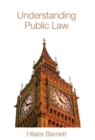 Image for Understanding Public Law