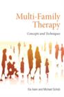 Image for Multi-family therapy  : concepts and techniques