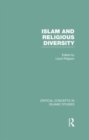 Image for Islam and religious diversity