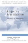 Image for Projective Identification