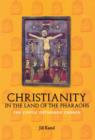 Image for Christianity in the land of the pharaohs  : the Coptic Orthodox Church