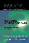 Image for Reducing intergroup bias  : the common ingroup identity model