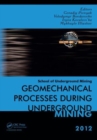 Image for Geomechanical Processes during Underground Mining : School of Underground Mining 2012